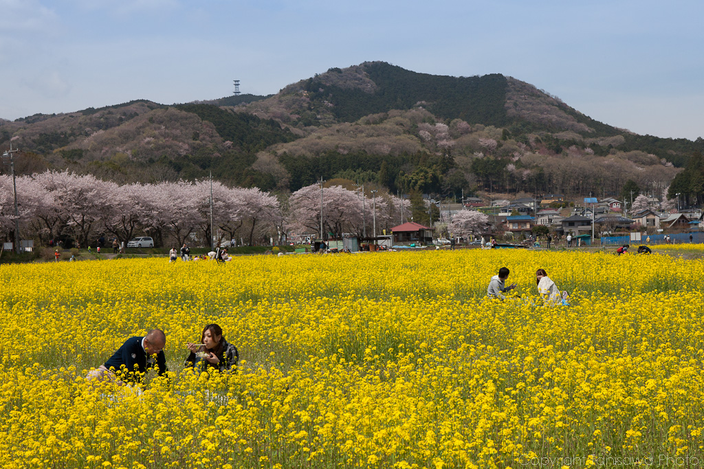 Kinchakuda