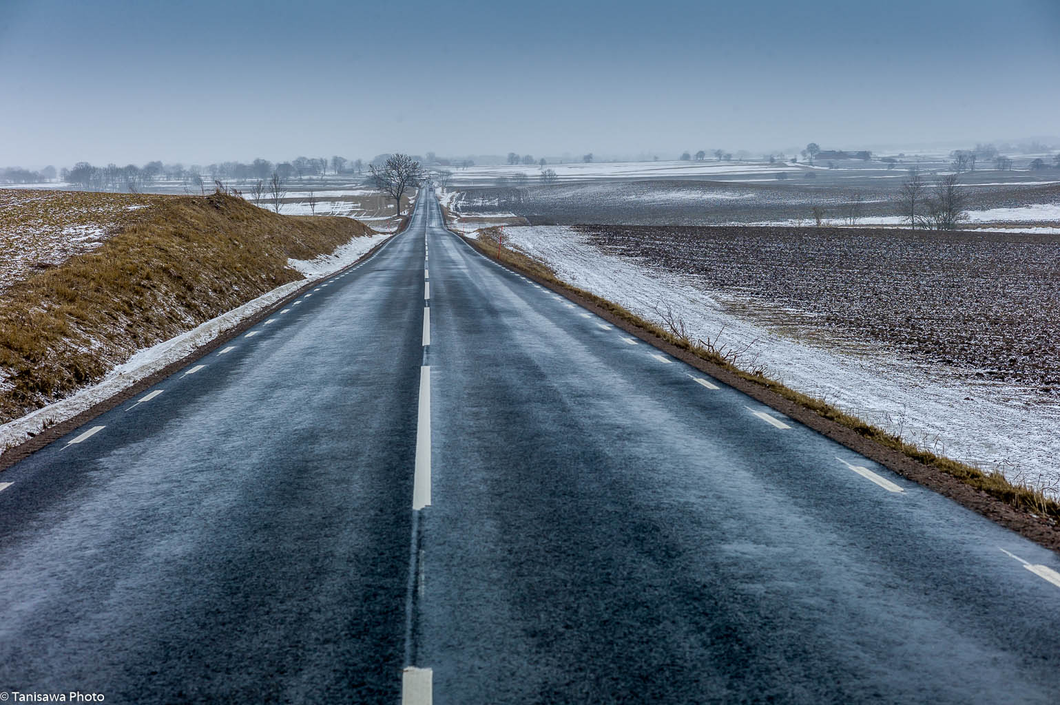 The frozen coast