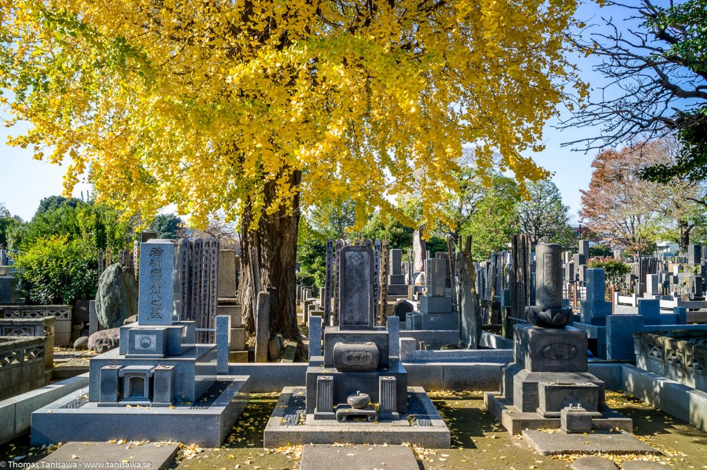 Yanaka cemetery graves