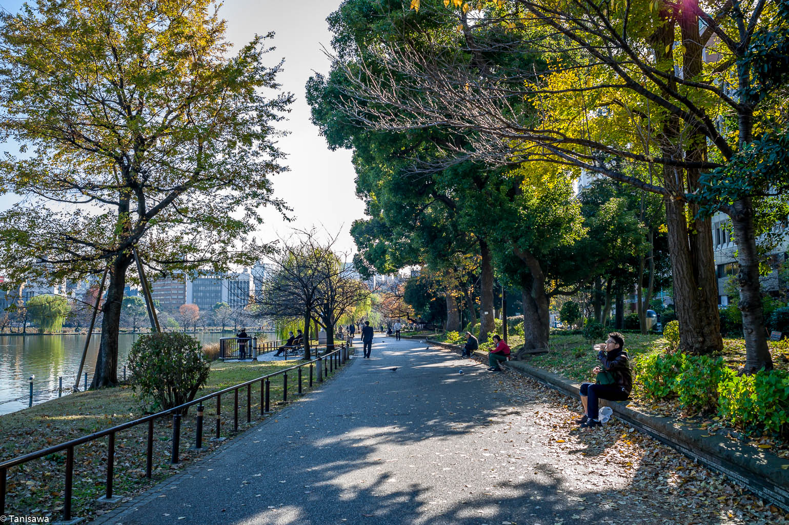 The lake by Ueno zoo