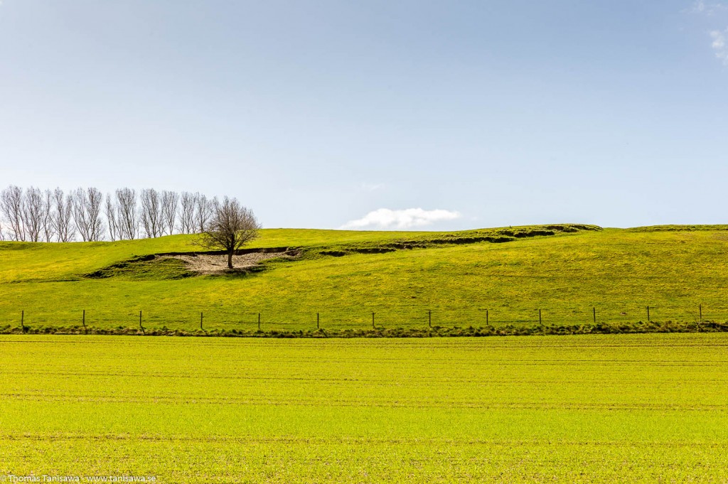 skåne kåseberga field