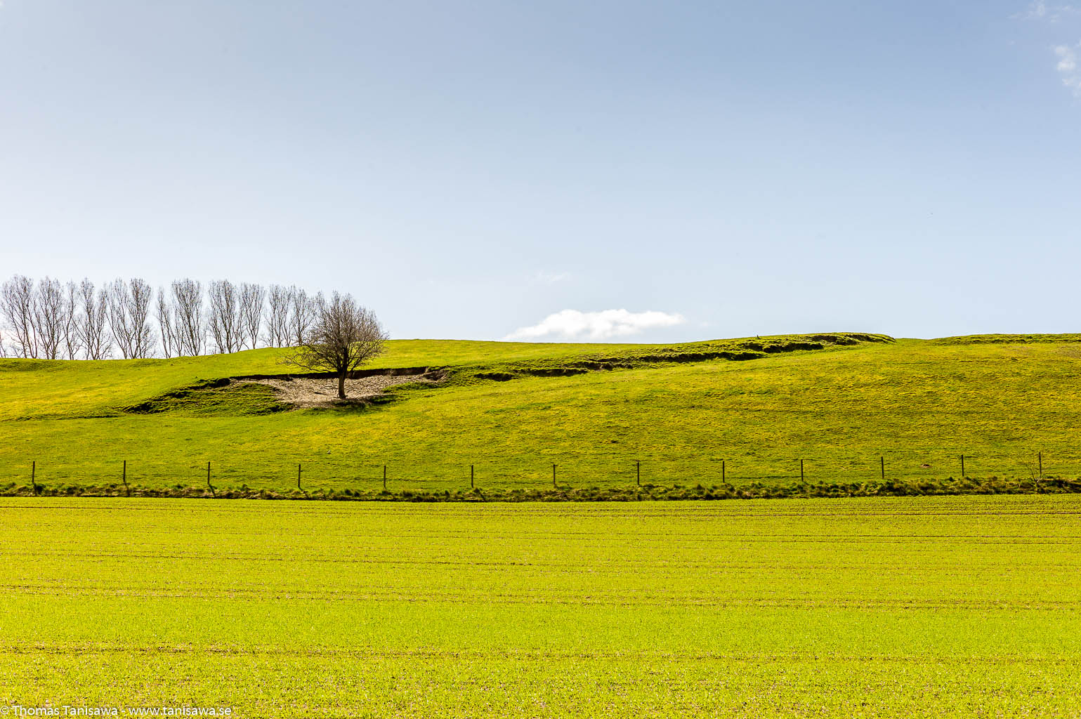 Hard not to love Skåne