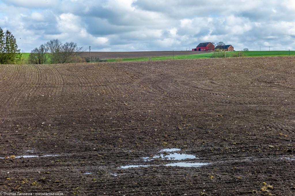 tolånga farm