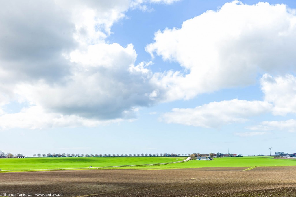 tolånga green field