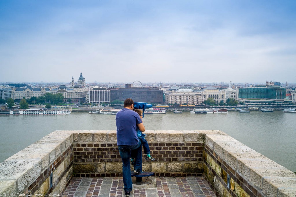 Budapest castle 01