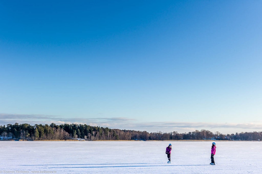 catch me if you can on ice