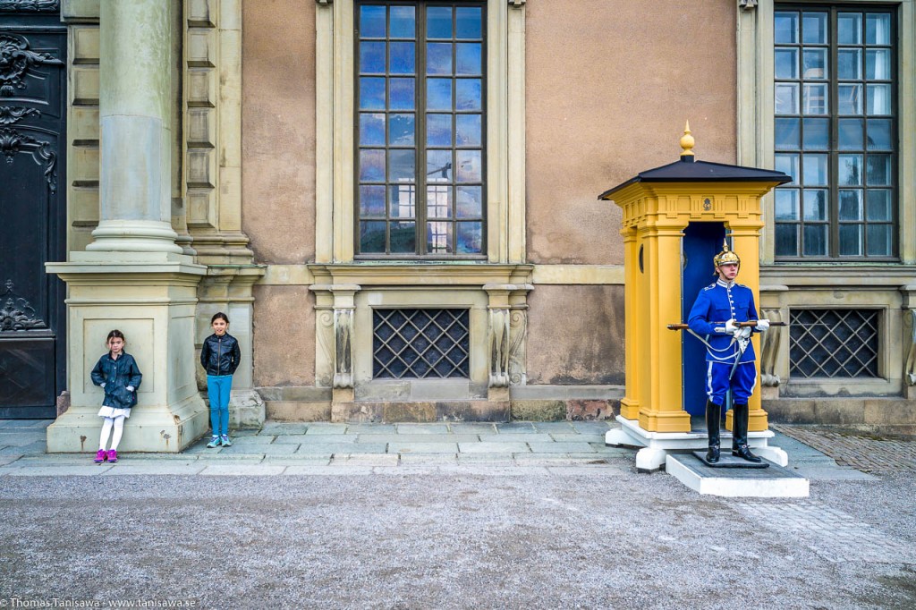 guard at the castle