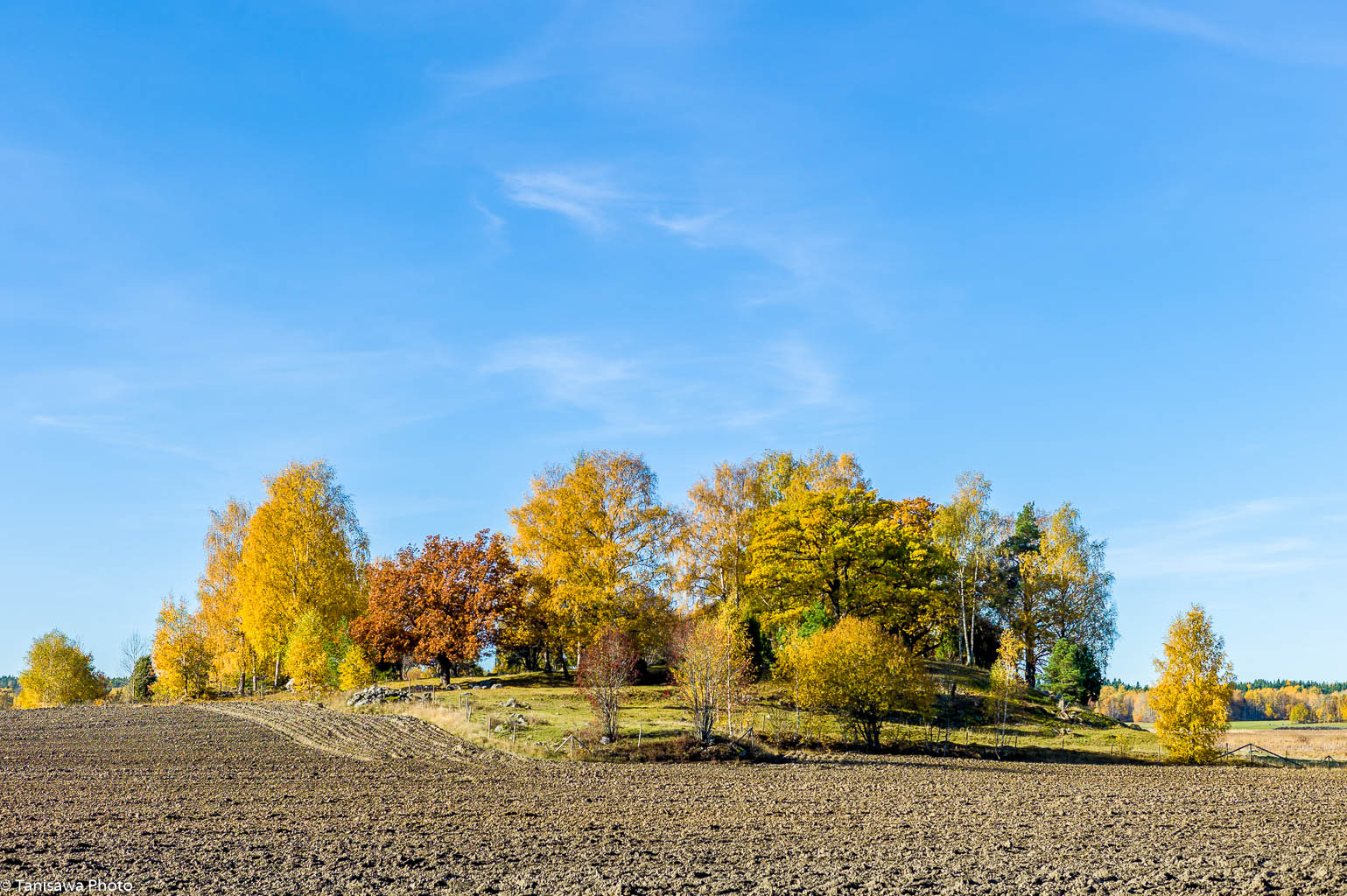 Autumn is here